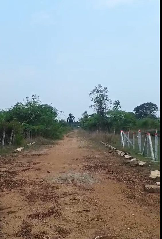 Plot in bhogapuram, visakhapatnam - bhogapuram highway facing - Property Photo 2