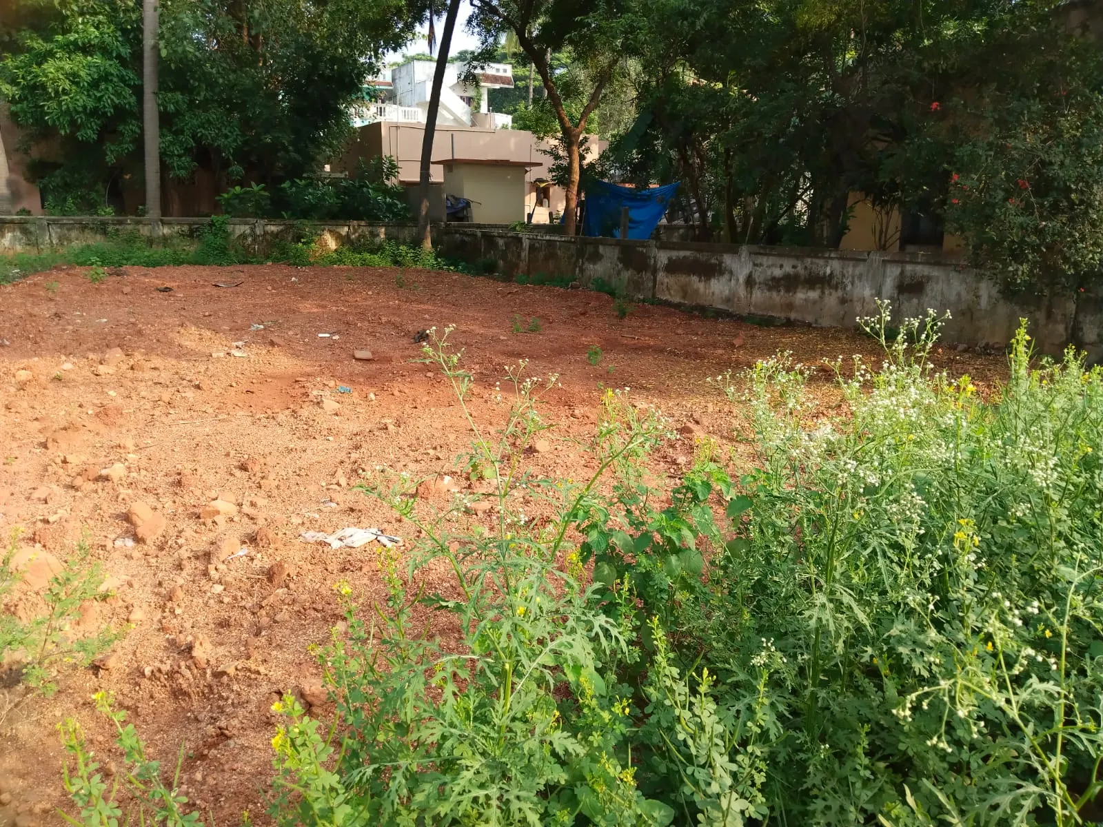 Commercial in ANAKAPALLI, ANAKAPALLI - NH side commercial land - Main Elevation Photo